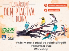Mezinárodní den ptactva – sezóna v Zoo Dvorec zahájena